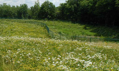 Soil Stabilization & Erosion Control